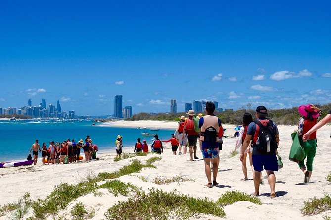 Gold Coast Kayaking & Snorkelling Tour (2.5 Hours) - Practical tips for a smoother morning