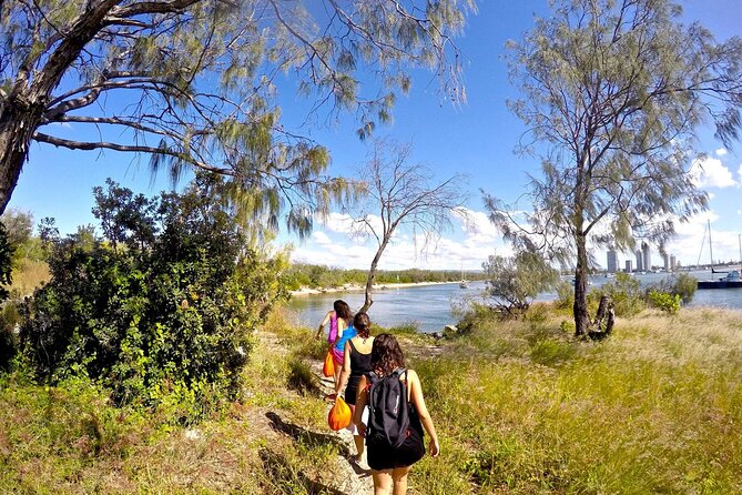 Gold Coast Kayaking & Snorkelling Tour (2.5 Hours) - Should you book the Wave Break Island tour?