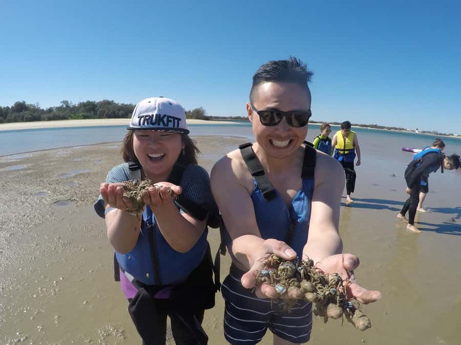 Gold Coast: Kayaking & Snorkelling Tour with Fish Feeding - Booking, cancellations, and timing