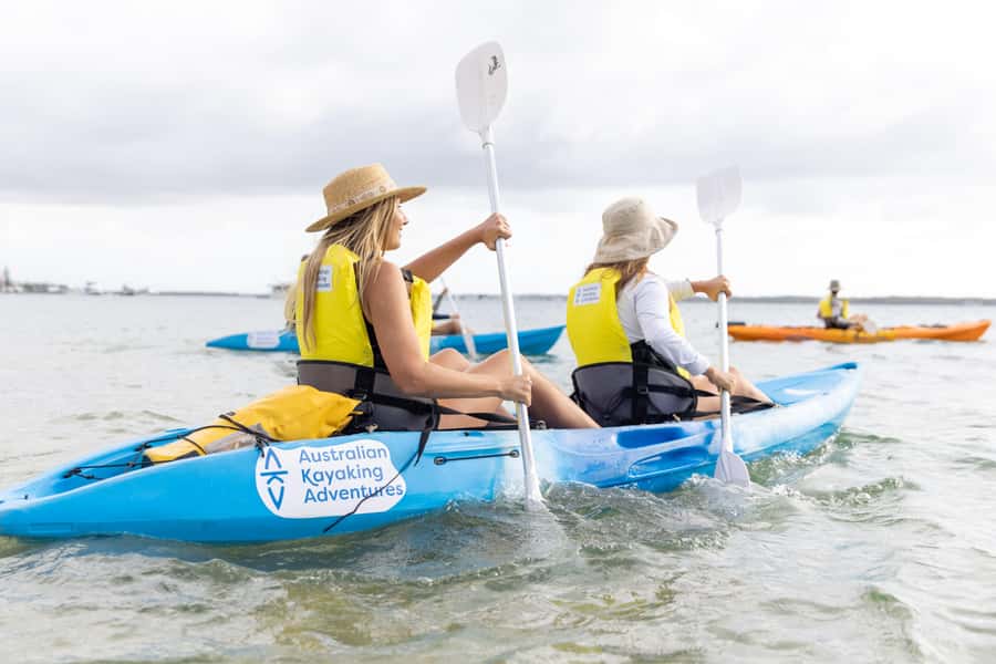 Gold Coast: Kayaking & Snorkelling Tour with Fish Feeding - Watching for dolphins and stingrays