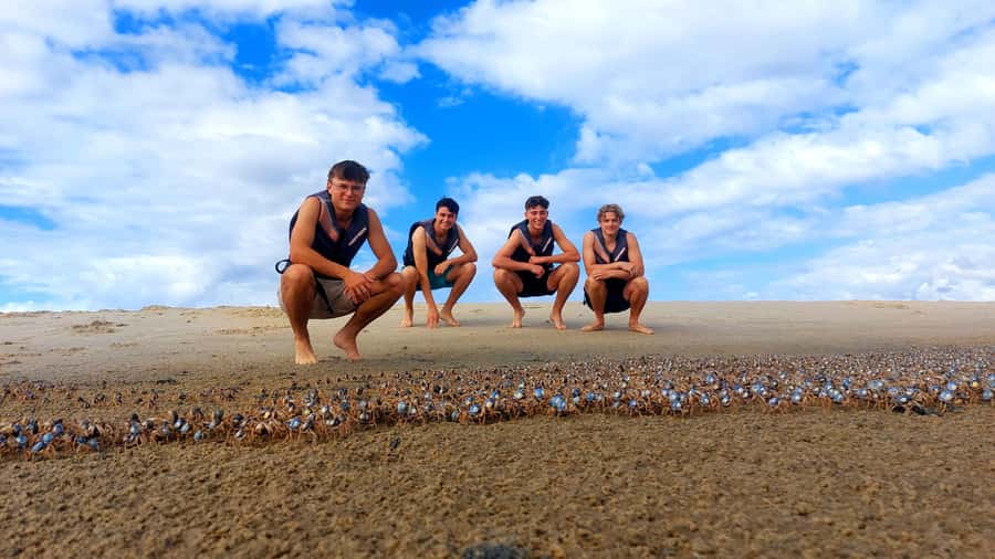 Gold Coast: Wave Break Island Kayaking & Snorkeling tour - FAQ