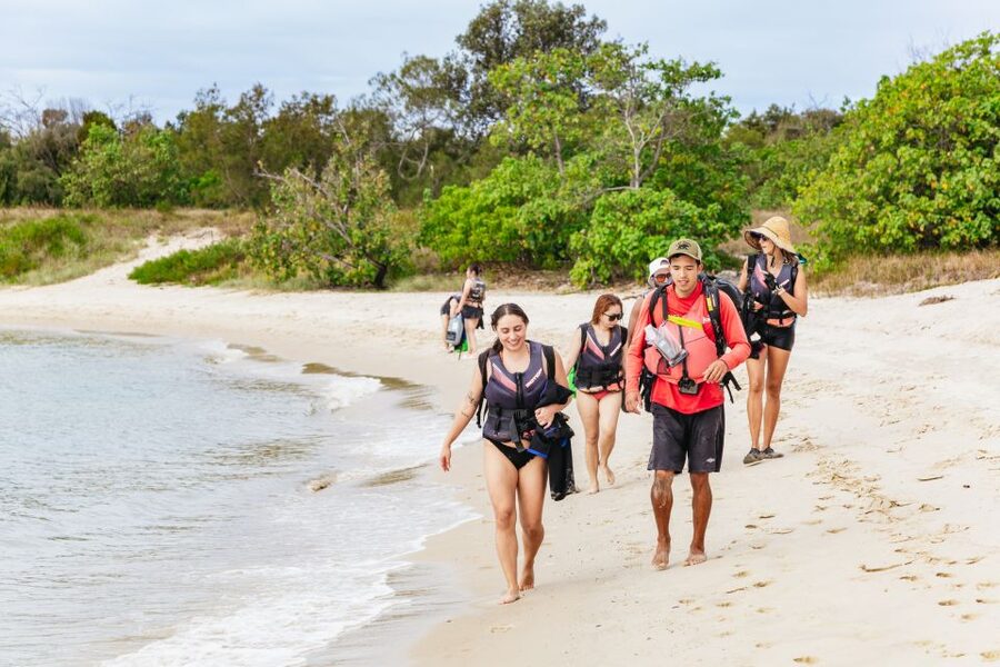 Gold Coast: Wave Break Island Kayaking & Snorkeling tour - What $63 buys you