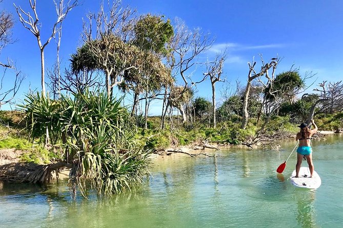 Golden Beach 1-Hour Stand-Up Paddleboard Hire on the Sunshine Coast - Golden Beach puts you beside a quieter waterway
