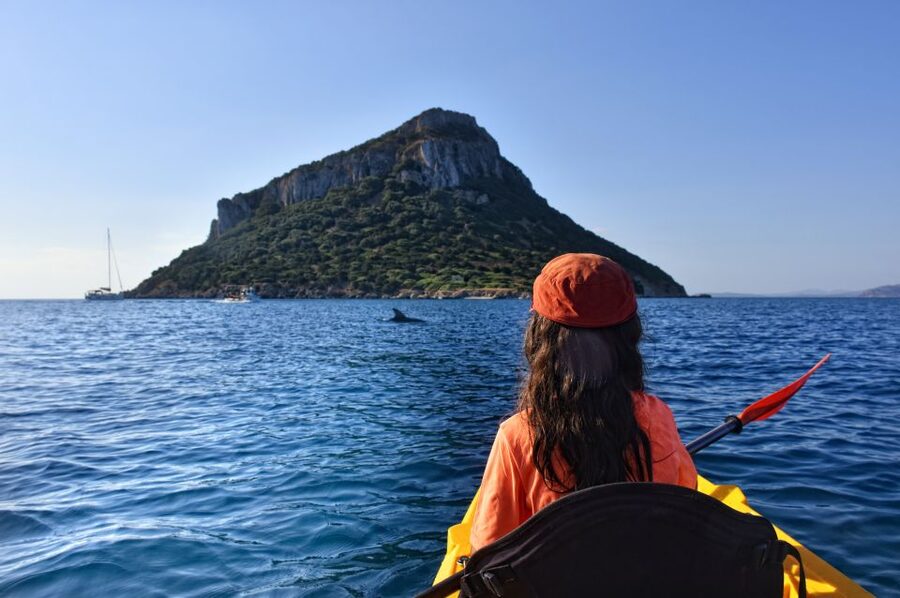 Golfo Aranci: Kayak Tour with Dolphins and Aperitif - Cala Moresca and the snorkeling stop