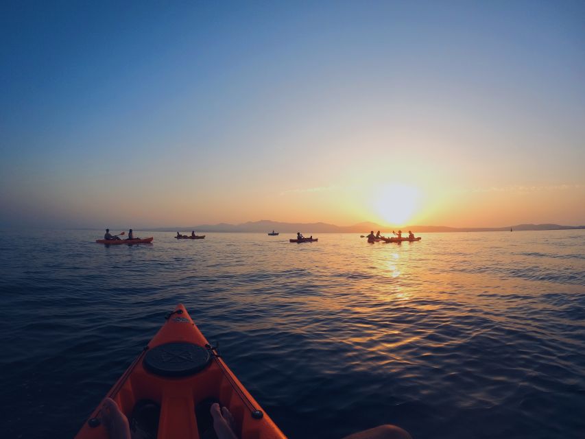 Golfo Aranci: Kayak Tour with Dolphins and Aperitif - Figarolo Island by kayak