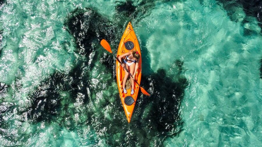Golfo Aranci: Kayak Tour with Dolphins and Aperitif - Who will enjoy this most
