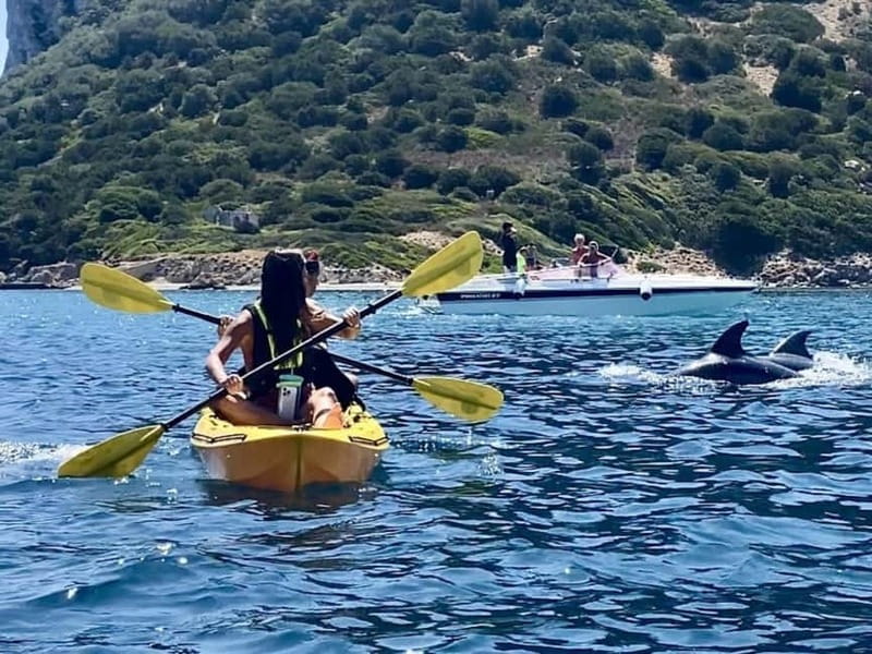 Golfo Aranci:Small group, german guided Kayak tour&Dolphins - Figarolo adds a beach break and Sardinian food