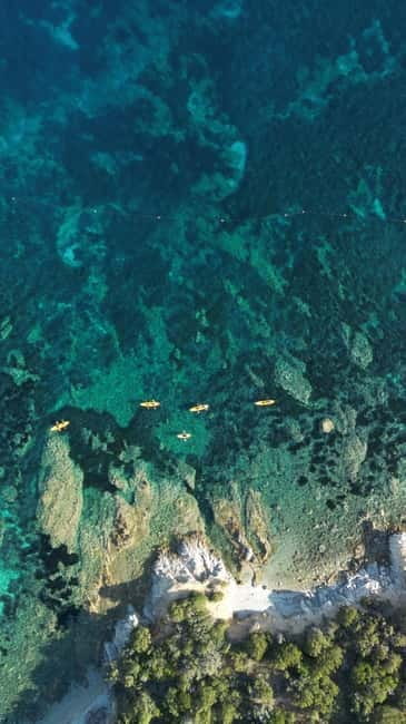 Golfo Aranci:Small group, german guided Kayak tour&Dolphins - The fish farm is the dolphin-watch point