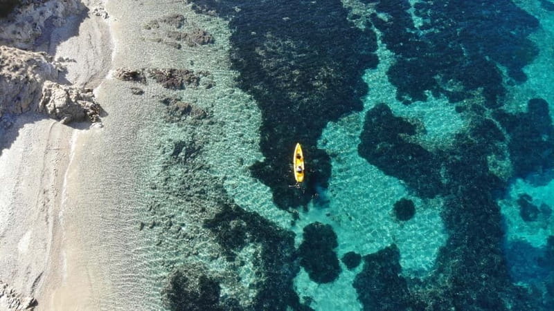 Golfo Aranci:Small group, german guided Kayak tour&Dolphins - What the $58 price really covers