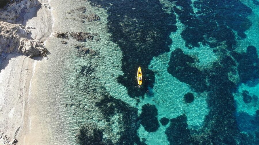 Golfo Aranci: Small group Kayak tour with Aperitif &dolphins - Quick reasons to choose this kayak tour
