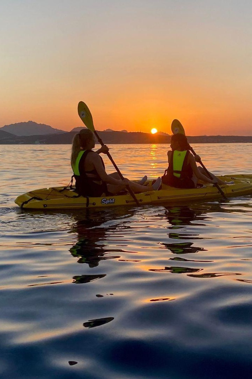 Golfo Aranci: Small group Kayak tour with Aperitif &dolphins - The dolphin search near the fish farm