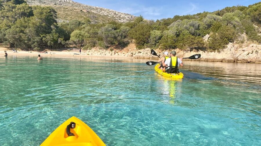 Golfo Aranci: Small group Kayak tour with Aperitif &dolphins - Who should book, and who should skip it?