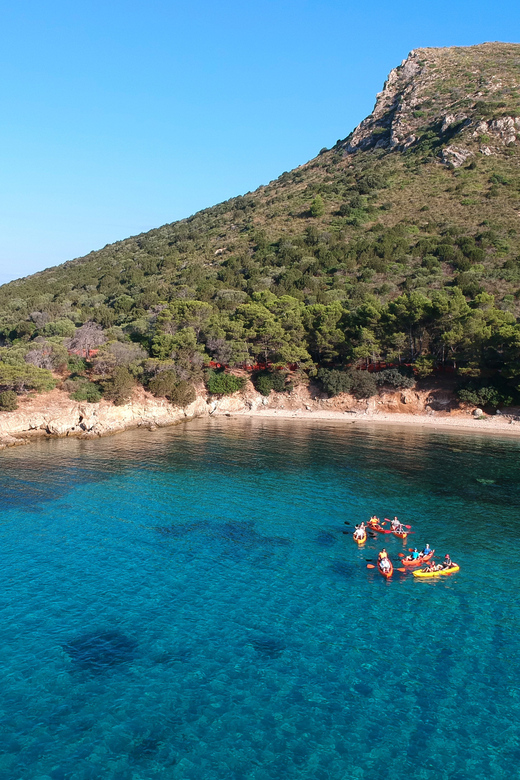 Golfo Aranci: Sunrise Dolphin Kayak Tour with Breakfast - The kayak briefing makes this suitable for beginners