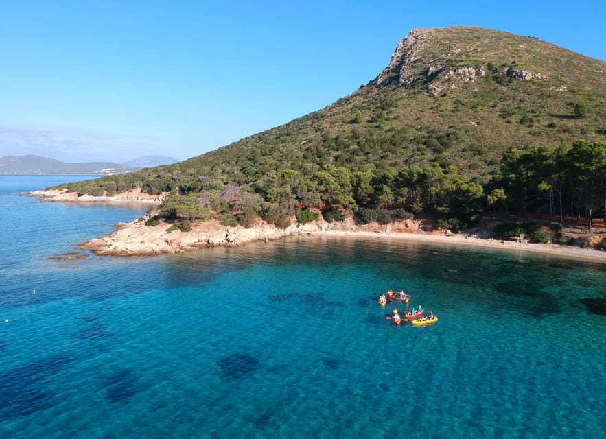 Golfo Aranci: Sunrise Dolphin Kayak Tour with Breakfast - Looking for dolphins near the sea fish farm
