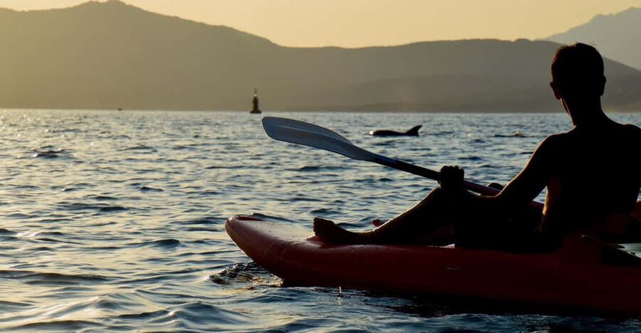 Golfo Aranci: Sunset Dolphin Kayak Tour with Aperitif - Key points at a glance