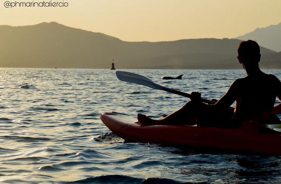 Golfo Aranci: Sunset Dolphin Kayak Tour with Aperitif - Paddling along Sardinia’s rocky coast