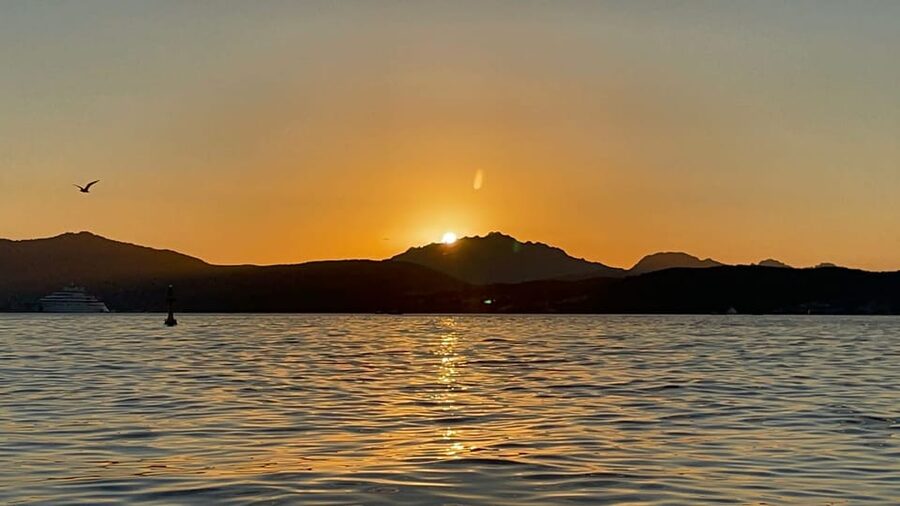 Golfo Aranci: Sunset Dolphin Kayak Tour with Aperitif - Sardinian cheese, cured meat, and beer