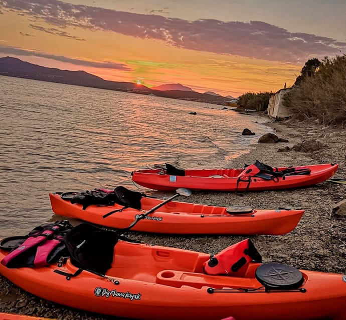 Golfo Aranci: Sunset Dolphin Kayak Tour with Aperitif - Guides, language, and group comfort