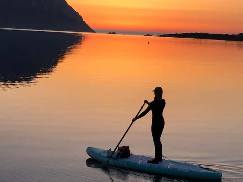 Golfo Aranci tour SUP Paddleboard Dolphin watching, aperitif - Watching for dolphins around Golfo Aranci