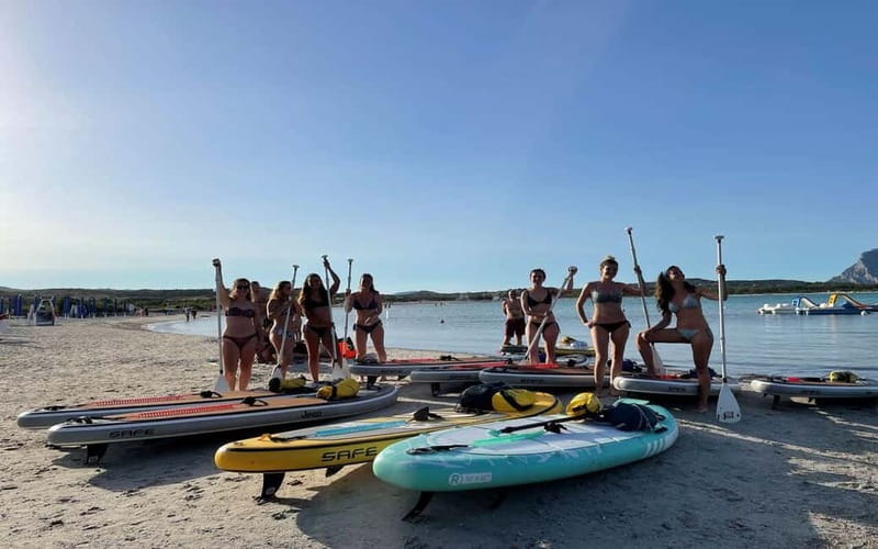 Golfo Aranci tour SUP Paddleboard Dolphin watching, aperitif - Who will enjoy it, and who should think twice