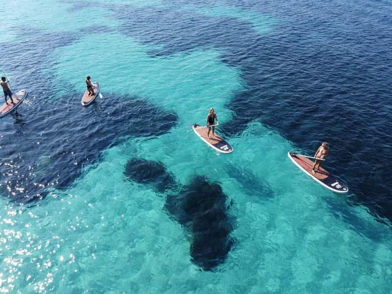 Golfo Aranci tour SUP Paddleboard Dolphin watching, aperitif - Starting at Baracconi Beach and getting oriented