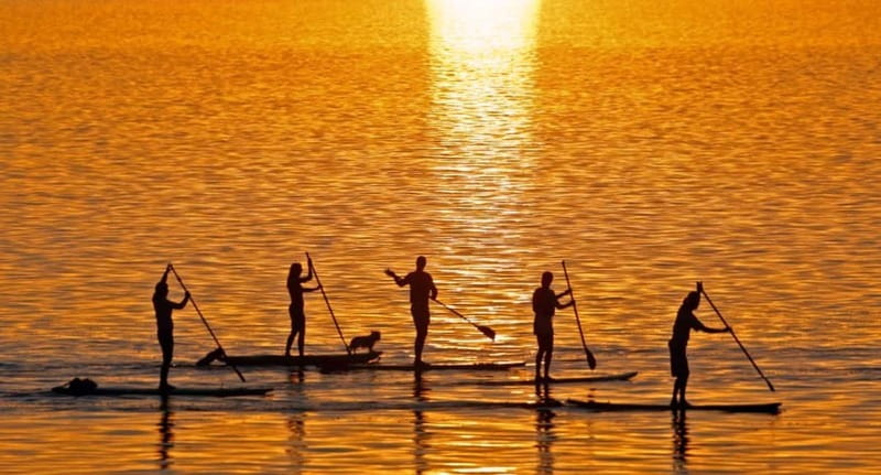 Gran Canaria: Stand-Up Paddle Lesson & Snorkeling Tour - What the Price Includes at $131