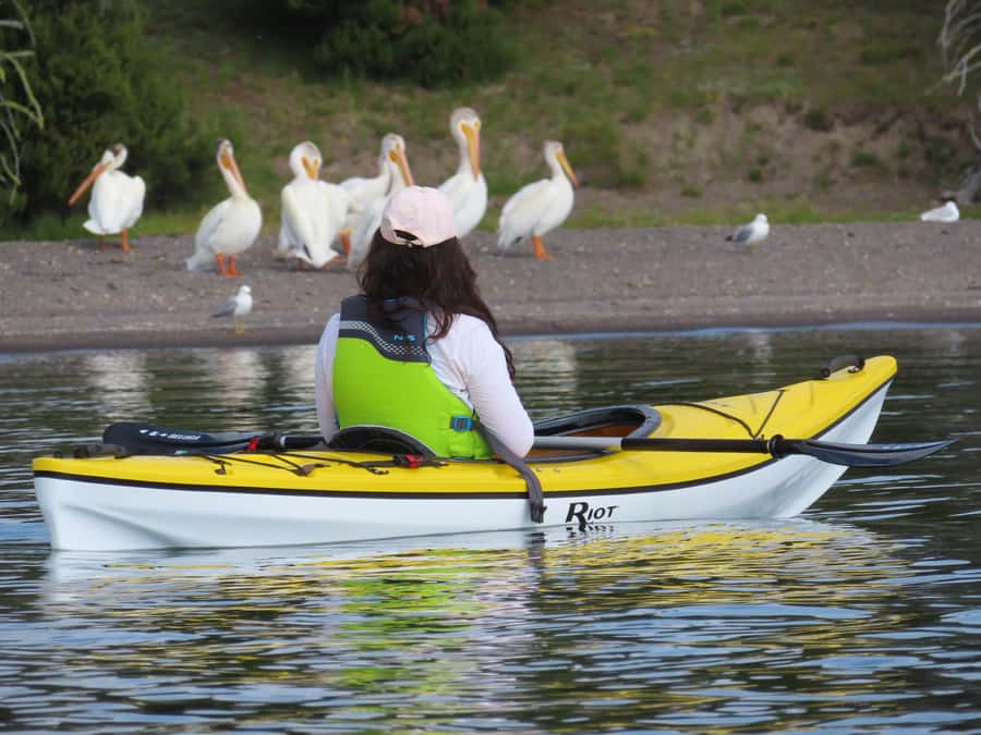 Grant Village: Yellowstone Lake Guided Kayak Tour - Following the shore toward West Thumb