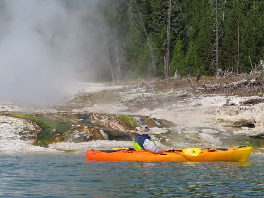 Grant Village: Yellowstone Lake Guided Kayak Tour - Wildlife and the value of an early start