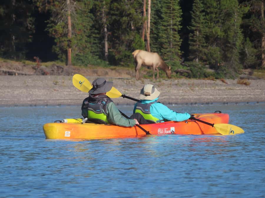 Grant Village: Yellowstone Lake Guided Kayak Tour - Coffee, lunch, and a comfortable finish