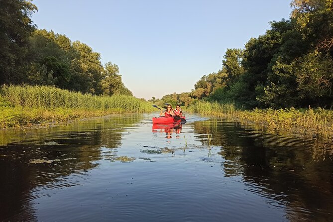 Great War Island Kayak Adventure - Meeting at Kej Oslobođenja 11a at 11 a.m.