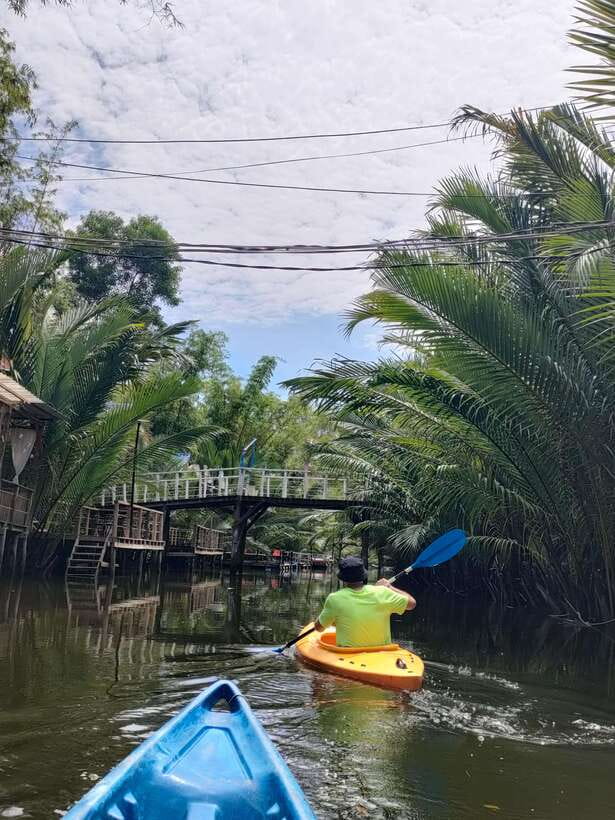 Green Cathedral Kayaking Journey & Reflection River View - Practical advice before you go