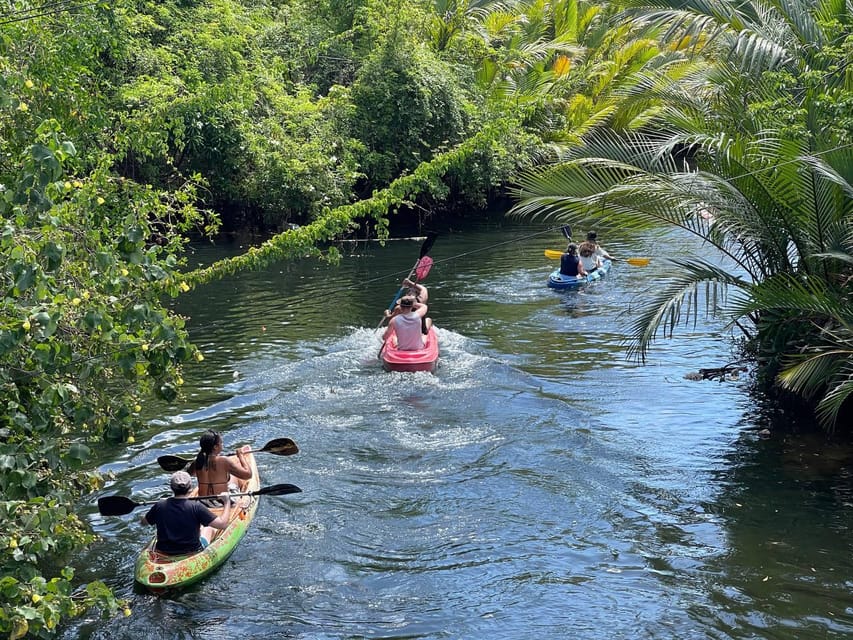 Green Cathedral Kayaking Journey & Reflection River View - The guides make the difference