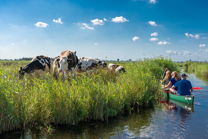 Guided Canoe Adventure with Picnic Lunch in Waterland from Amsterdam - Key points to know before you book
