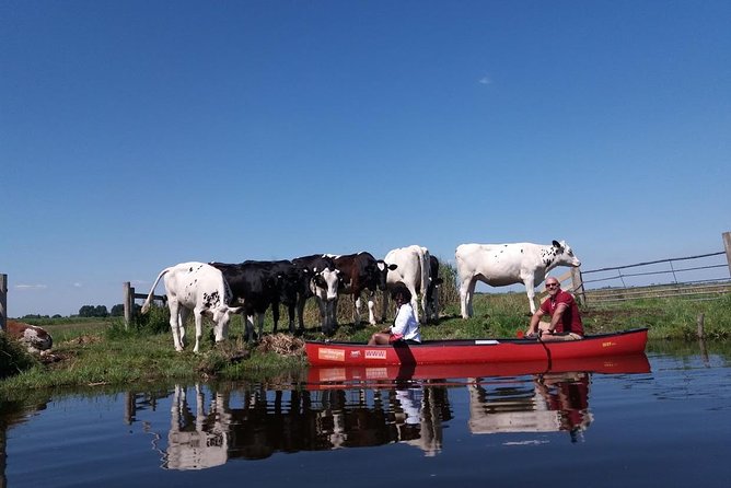Guided Canoe Adventure with Picnic Lunch in Waterland from Amsterdam - Who will enjoy this canoe trip most