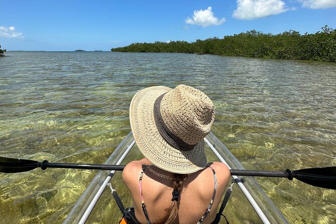 Guided Clear Kayak Eco-Tour Near Key West - What the clear kayak changes