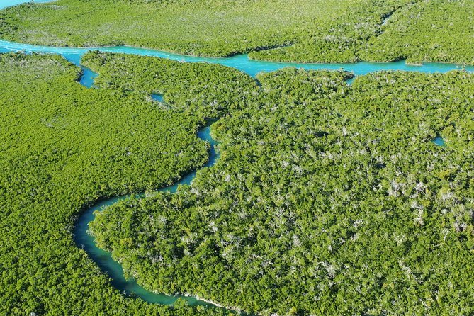 Guided Clear Kayak Eco-Tour Near Key West - The guide can make or break the outing
