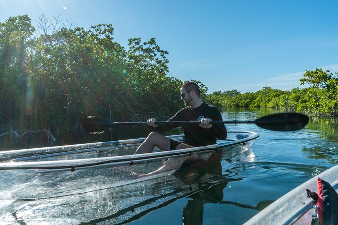 Guided Clear Kayak Eco-Tour Near Key West - Weather, tide, and the honest tradeoff
