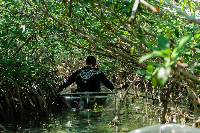 Guided Clear Kayak Eco-Tour Near Key West - Who will enjoy this tour most?