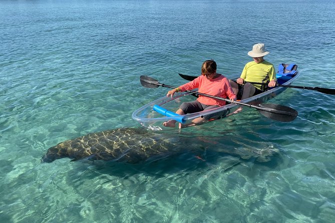 Guided Clear Kayak Eco-Tour of Jupiter - Key points to know before booking