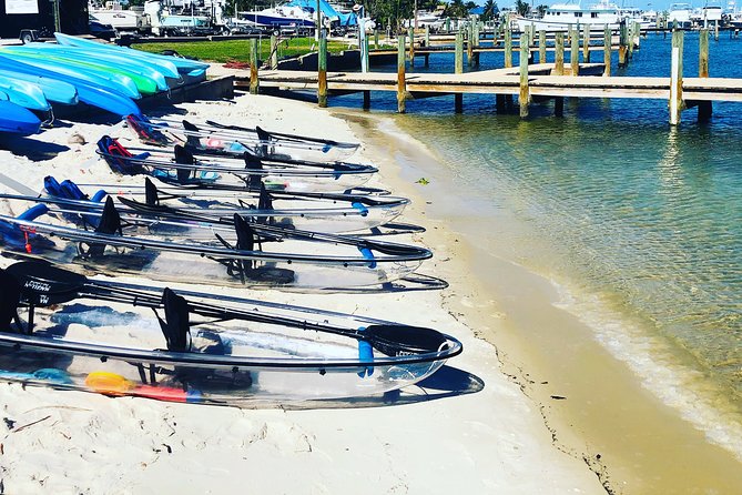 Guided Clear Kayak Eco-Tour of Jupiter - The guides make the difference