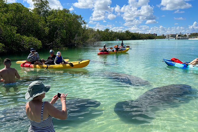 Guided Dolphin Eco Tour by Kayak & SUP - Fort Myers Beach, FL - Why Big Hickory Island Makes This Tour Different