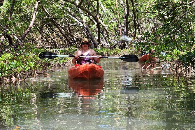 Guided Dolphin Eco Tour by Kayak & SUP - Fort Myers Beach, FL - Following the Mangrove Tunnels
