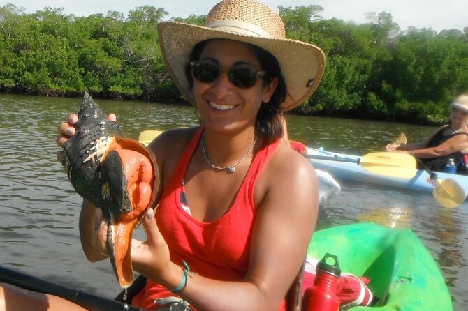 Guided Dolphin Eco Tour by Kayak & SUP - Fort Myers Beach, FL - Shelling at Big Hickory Island