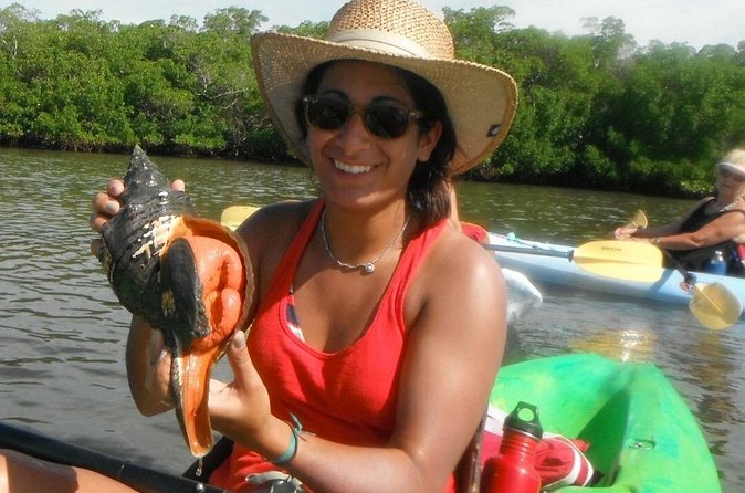 Guided Dolphin Eco Tour by Kayak & SUP - Fort Myers Beach, FL - Price, Effort, and Overall Value