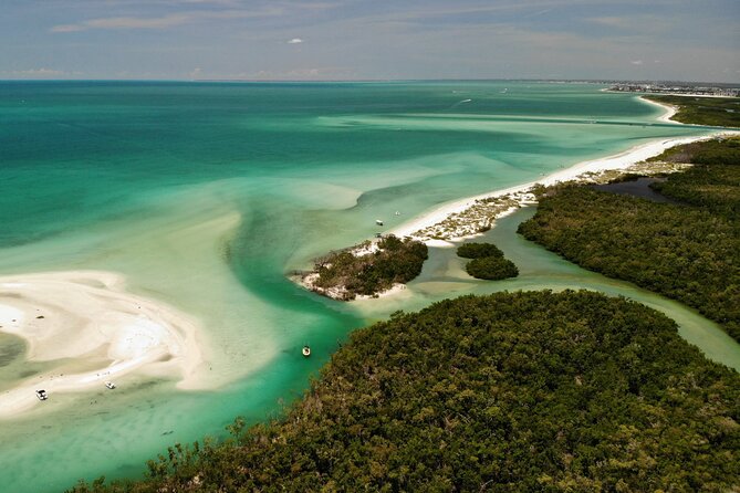Guided Dolphin Eco Tour by Kayak & SUP - Fort Myers Beach, FL - The Guides Make a Big Difference