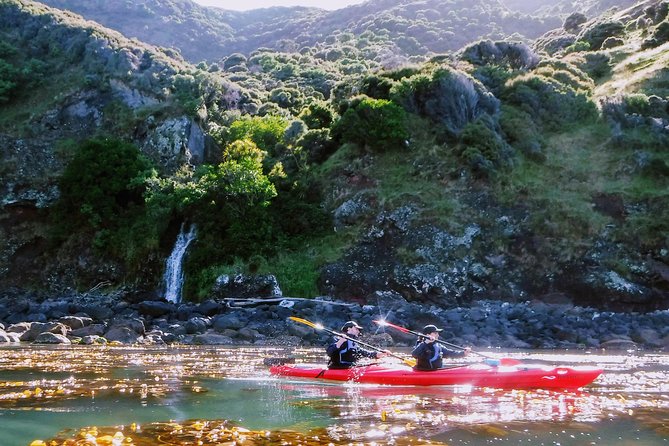 Guided Electric Mountain Bike & Sea Kayak Tour in Akaroa - The Crater Summit Viewpoint