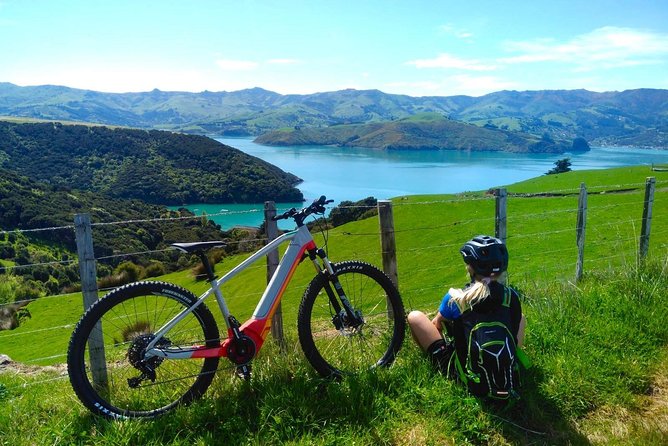Guided Electric Mountain Bike & Sea Kayak Tour in Akaroa - What the Two-Part Format Adds to the Day