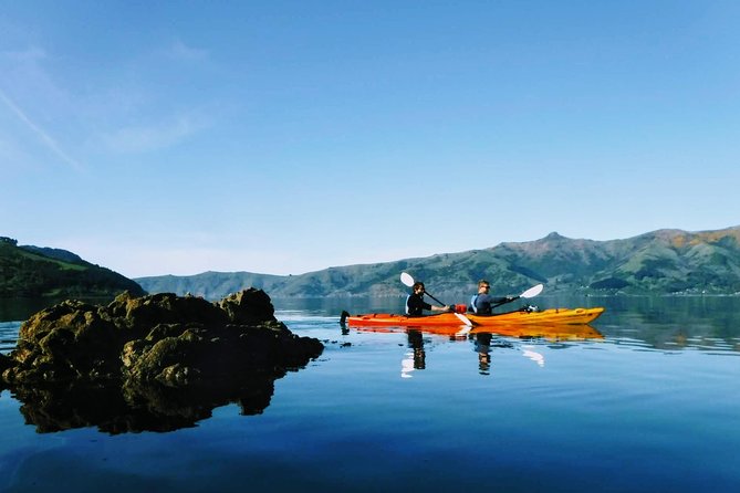 Guided Electric Mountain Bike & Sea Kayak Tour in Akaroa - Price, Photos, Snacks, and Overall Value