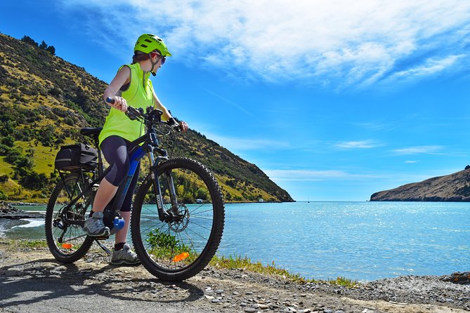 Guided Electric Mountain Bike & Sea Kayak Tour in Akaroa - Who Should Book This Akaroa Tour?