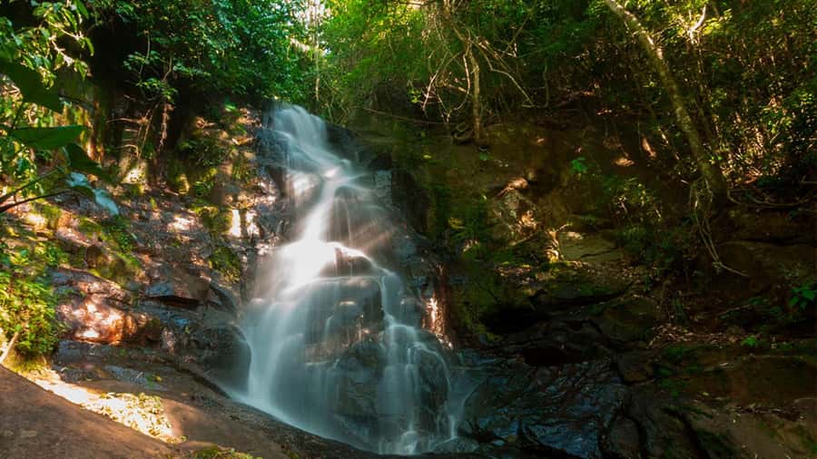 Guided Hike and Kayak or SUP River Tour w/ Transfer - What to pack for a smoother day